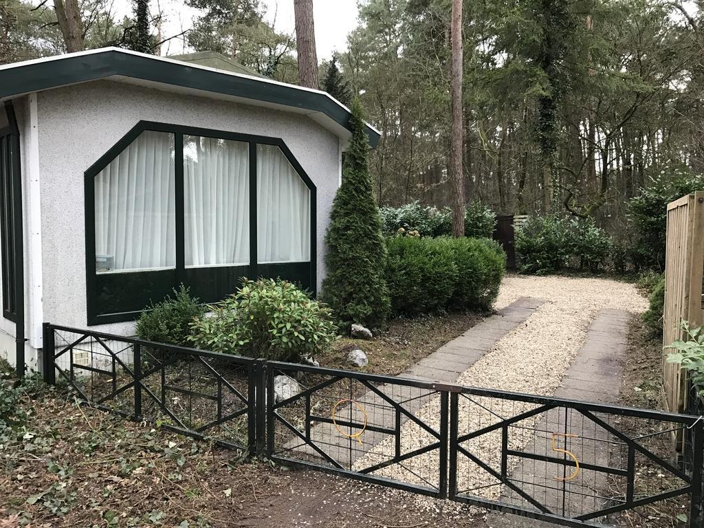 Villa Chalet Dennenvelt à Doornspijk Extérieur photo